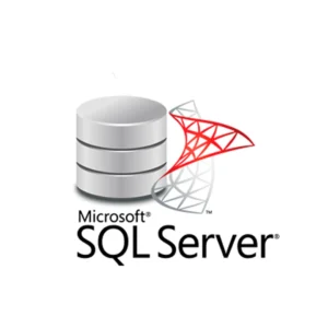 Licencia SQL Server 2010/2012/2013/2016/2017/2019 Standard Retail Key (1 PC)